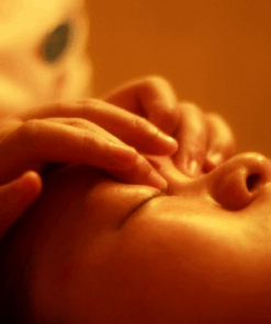 SHIATSU VISAGE ET CRÂNE